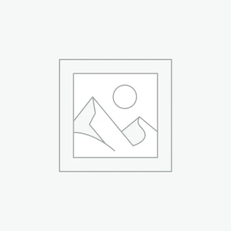 Rothco Plate Carrier Vest